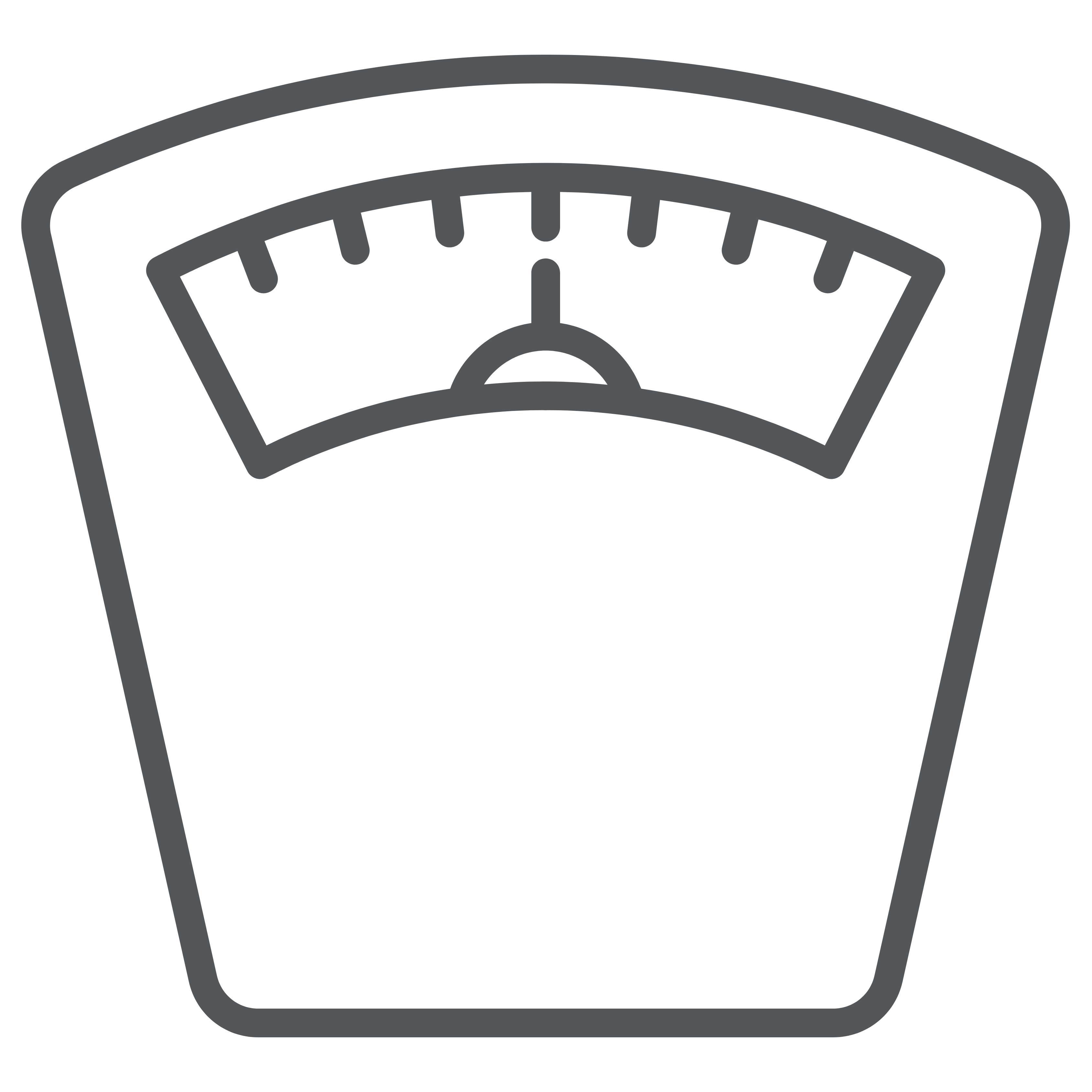 Ícone do segmento de Controle de Peso de Maneira Saudável